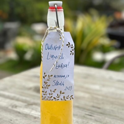 Jude’s Limoncello