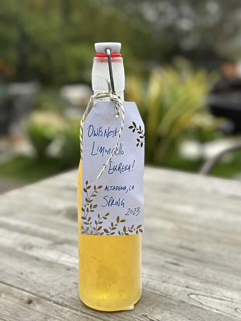 Jude’s Limoncello